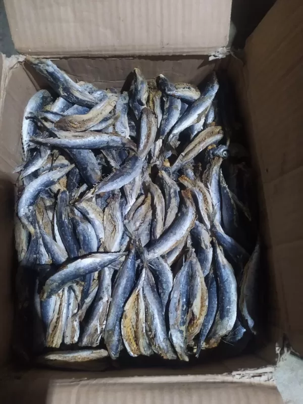ikan asin tongkol